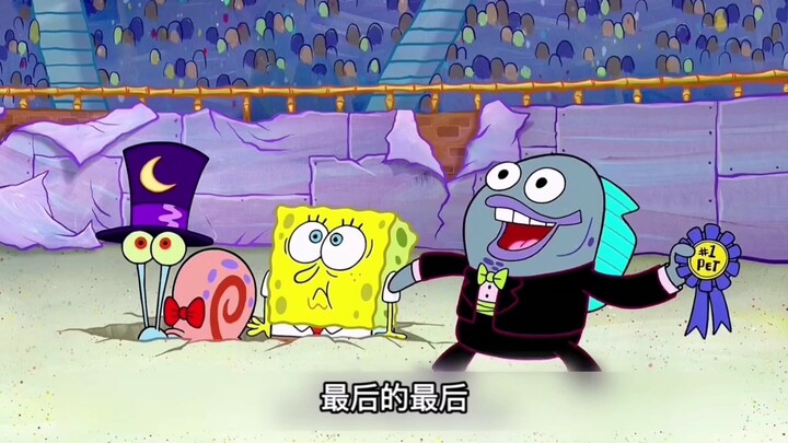 派大星的宠物居然是…