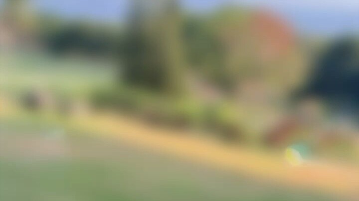 六亲缘浅者，欲得安泰，当远离乡井，行远则扰少。因近人非但不能助，反加践踏。其维度高于亲族，其能胜于同侪，只缘生于斯家，来此尘寰。真同类不在血脉，而在征途之上若不复回顾，前路自明。