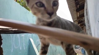 把孩子吓立整了