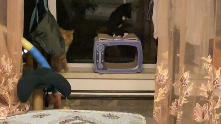 دعني أرى من سيقول إنه لا توجد روايات لقراءتها بعد الآن! (نسخة مائدة مانشو-هان الكاملة)