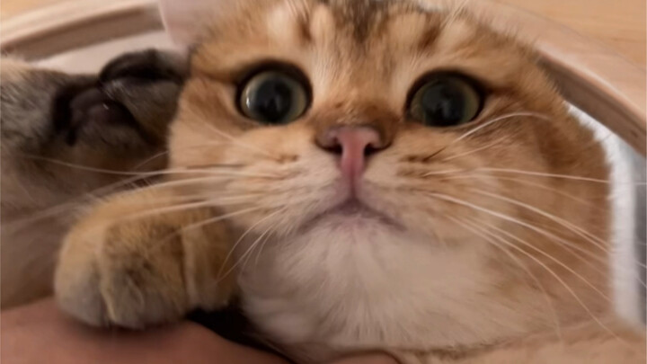 The kid’s grown up—time to sleep in separate rooms!