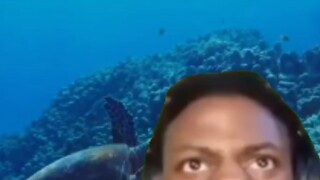 *Hellish joke: When you're diving underwater and suddenly hear this sound