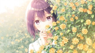 Various anime stories with the colors of the cartoon world