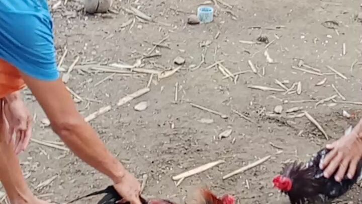 Oct.22 2023#andam ta para s away puhon