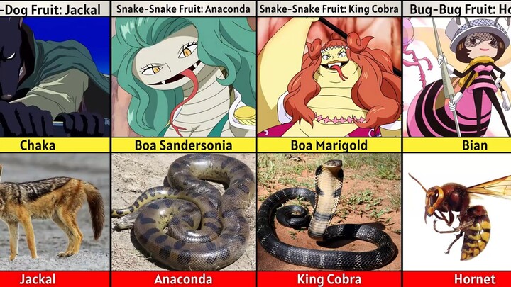 💥EVERY ZOAN TRANSFORMATION IN ONE PIECE AND REAL LIFE 🔥🔥🔥🔥🔥❗❗❗❗❗😱😱😱😱✨✨✨✨✨