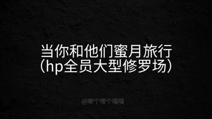 【hp乙女】当你和他们蜜月旅行（全员大型修罗场）
