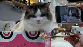 الأفضل هو ما تحبه.