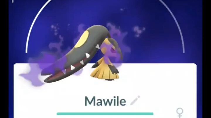 Pokémon GO-Purifying Shadow Mawile