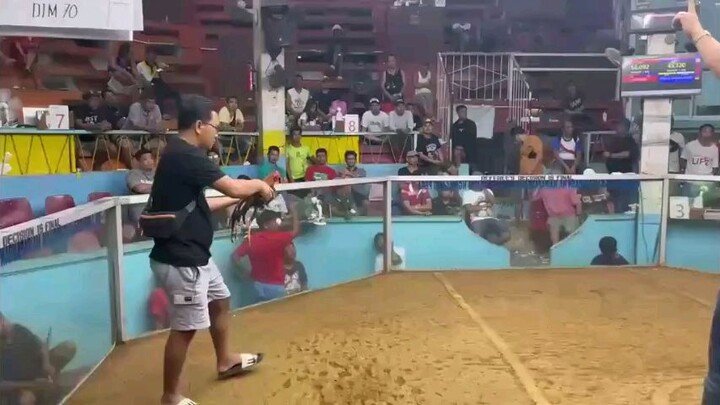 DTM70 Sweater Boston