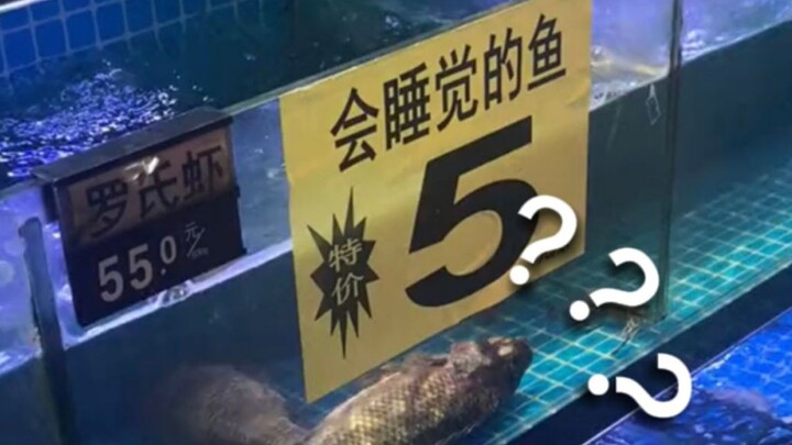 Hài kịch đời người ❾