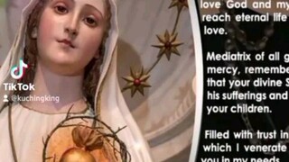 Happy Feast Day Our Lady Mediatrix of All Grace