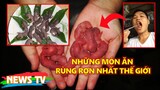 Những món ăn rùng rợn nhất thế giới, nhìn thôi đã thấy khó nuốt!