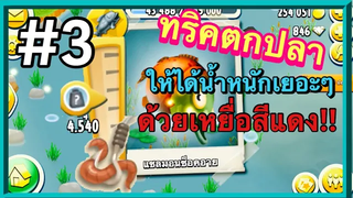 🐥เฮย์เดย์3 วิธีตกปลาให้ได้นํ้าหนักเยอะด้วยเหยื่อสีแดง