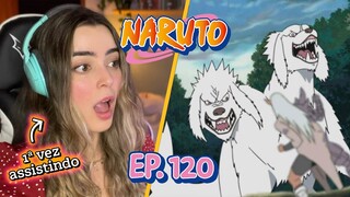 Kiba e Amakaru: mais que amigos, lobisomens 👦🏻💖🐶 [React Naruto Clássico ep. 120] #fzzreage