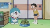 Doraemon || JAMUR MATSUTAKE