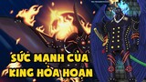 Sức mạnh KHỦNG KHIẾP của KING Hỏa Hoạn | Akainu sẽ sớm xuất hiện ở Wano Quốc ??? [One Piece 930 +]