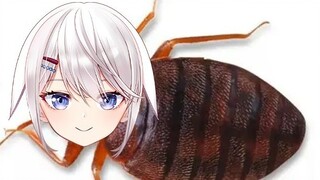 [Bug Movie] I, Qingye, will keep my promise and you will become a bug tomorrow