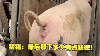 猪猪: 最后那下多少有点缺徳！