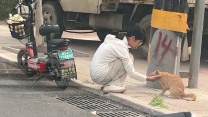 Chứng kiến toàn bộ quá trình bắt cóc bé gái và chú cam bằng chính mắt mình