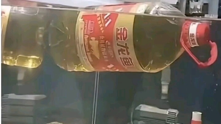 Đẹp trai nhất