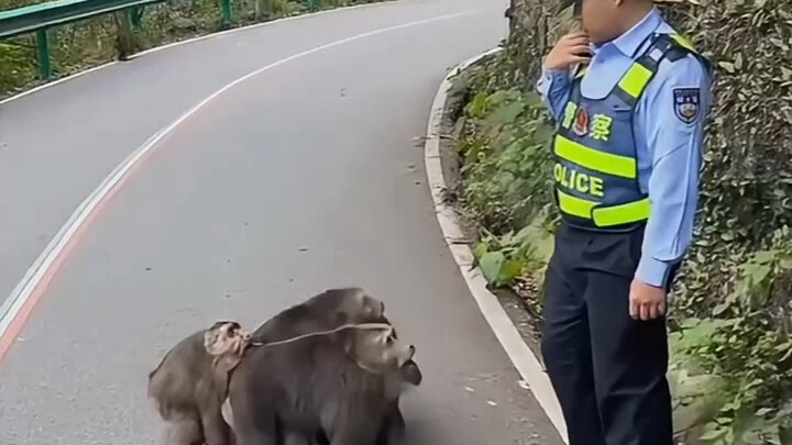 Hari ini kamu tidak bisa pergi