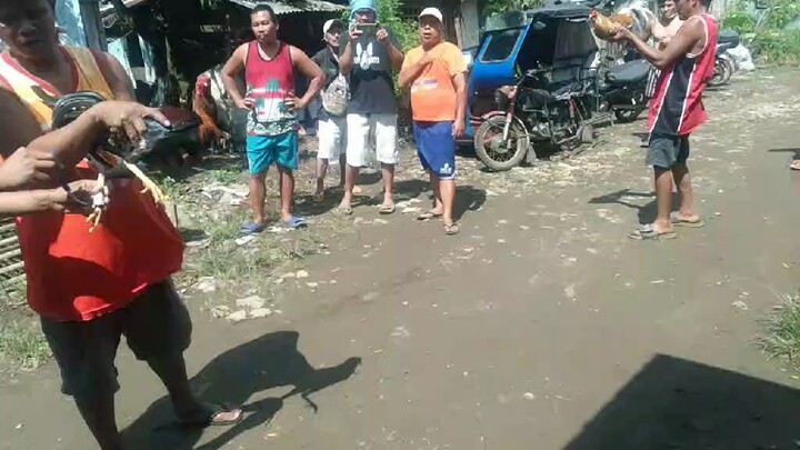 panalo .. Pero patay ..