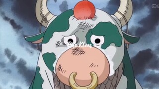 The Grand Line Monster is Afraid of LUFFY & SANJI⁉️