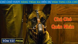 Chú Chó Quân Nhân Vượt Hàng Trăm Km Đến Đám Tang Của Chủ | Review Phim | T91 Vlog