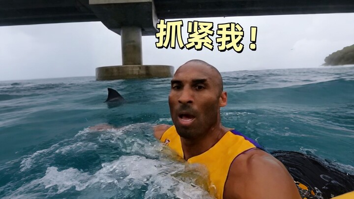 Kobe Takes Me Out to the Sea to Survive