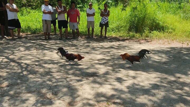 STREET FIGHT SERYE BIYERNES SANTO LOSS KAMI..