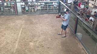 hack fight wasak pakpak pero palaban parin