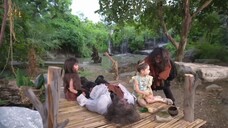 เจอกันทีไร ต้องทำแผลกันตลอด | Highlight เดชอสูรขันแก้วนพเก้า EP.8