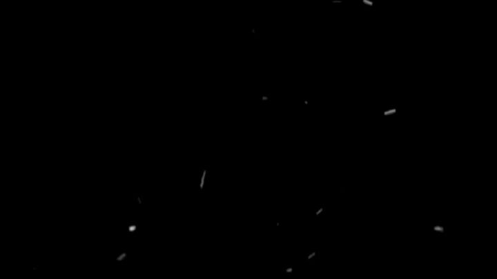 Tiramisu Cake 💗🐰