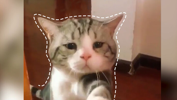 คือว่า...ปลาแห้งยังเหลือไหม 