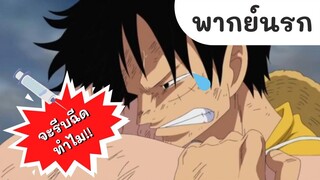 วันพีช : ฉันก็แค่อยากไปเที่ยวกับเพื่อนๆ