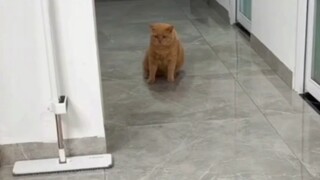 Ini juga bisa dibilang sebagai operasi replika.