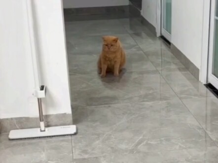 This can also be considered a replication operation.