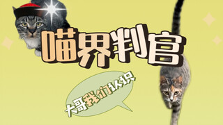 จะโทรเรียกแมวมาสืบว่าแมวตัวนี้มันมีภูมิหลังยังไง!