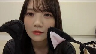 Tamura Mayu (Nogizaka46/のぎおび×SHOWROOM/SHOWROOM Live Streaming/2024.10.08)