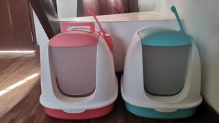 New litter box for Cats || Clowder zone