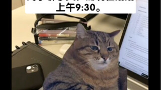 当我在工作中吃了所有的零食，吃了午饭，喝了咖啡，和所有的同事聊了天，而现在刚刚上午9:30