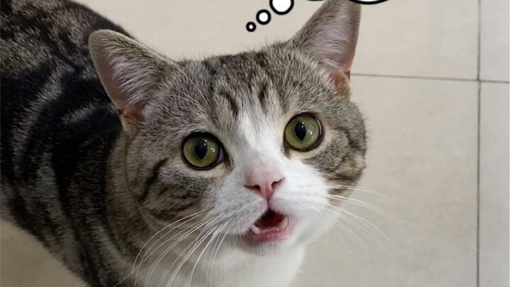 Episode 1: Qiuxiang Has Arrived