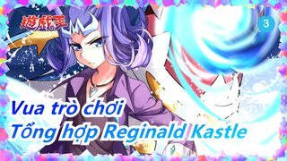 [Vua trò chơi] Tổng hợp thẻ bài kèn Reginald Kastle_3