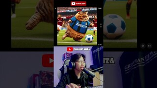 kucing ini mengalahkan ronaldo dan messi #intermilan #kucing #chatgpt #chatgpt4