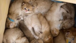 Another kid who didn’t take a good nap was caught!
