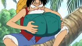 Luffy's Funny Moments 😂
