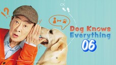 🇰🇷EP. 6 DOG KNOWS EVERYTHING (2024) | ENG SUB | HD 1080P | Comedy/Drama/SitCom