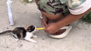 Wajahku ditampar dua kali dalam 1 menit, tapi tamparan ini membuatku cukup senang