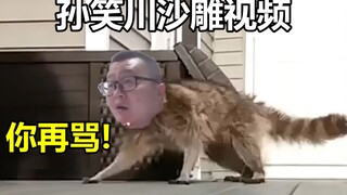【灵魂P图】来自孙笑川的攻击 当孙笑川遇上沙雕视频会发生什么？