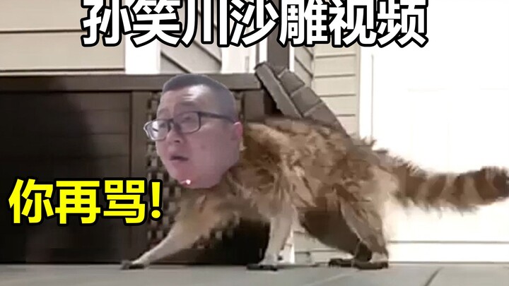 【灵魂P图】来自孙笑川的攻击 当孙笑川遇上沙雕视频会发生什么？
